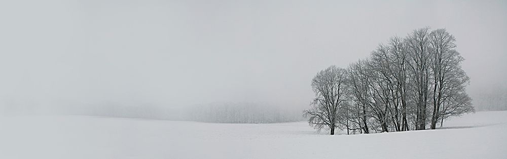 Albhochflaeche art print by Nicolas Schumacher for $57.95 CAD