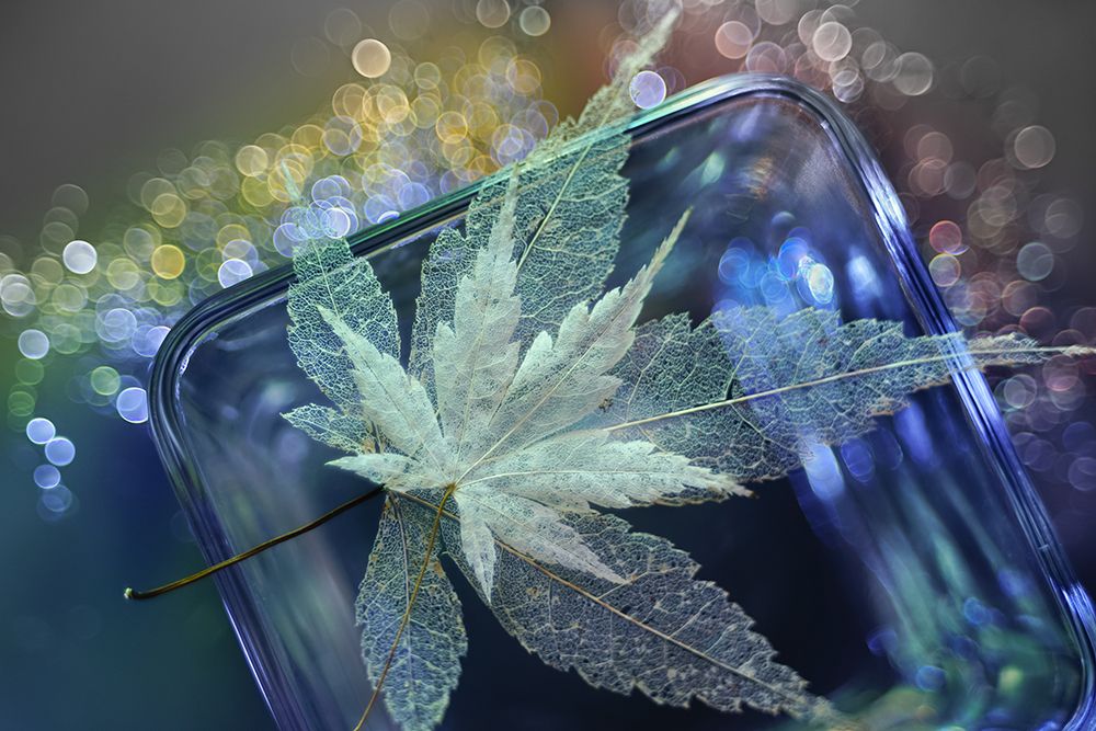 Pieces Of Beautiful Memories art print by Shihya Kowatari for $57.95 CAD