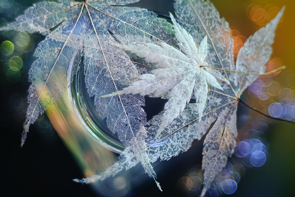 Trio art print by Shihya Kowatari for $57.95 CAD