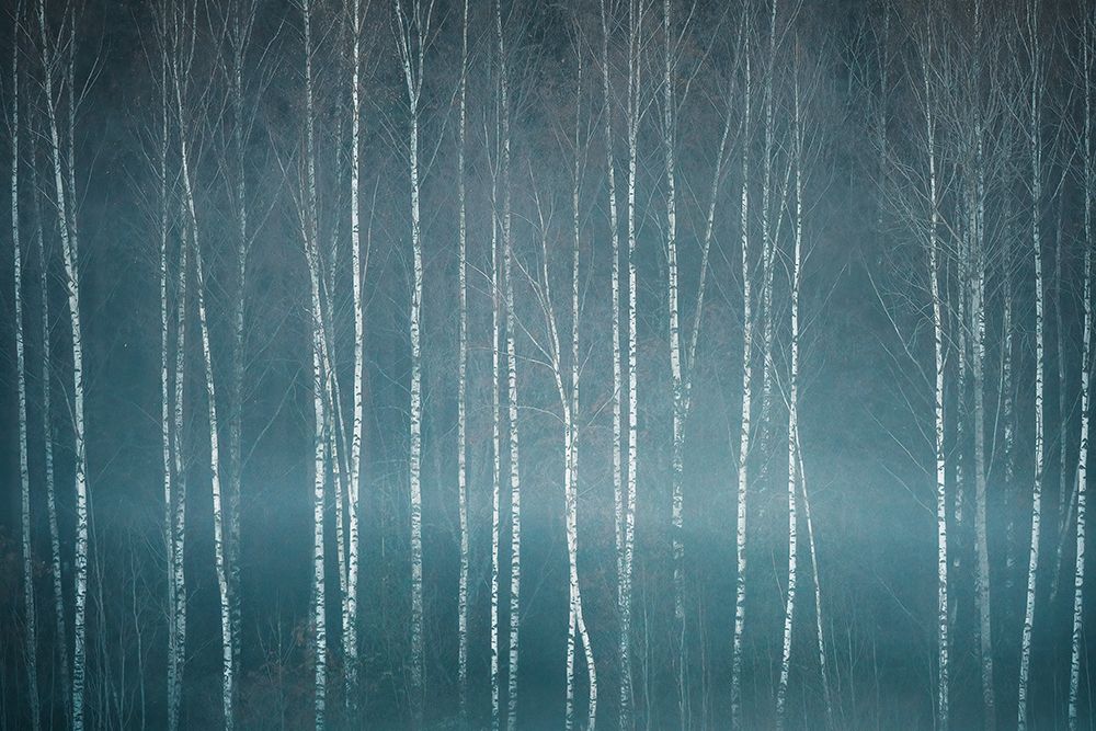 November Mood art print by Christian Lindsten for $57.95 CAD