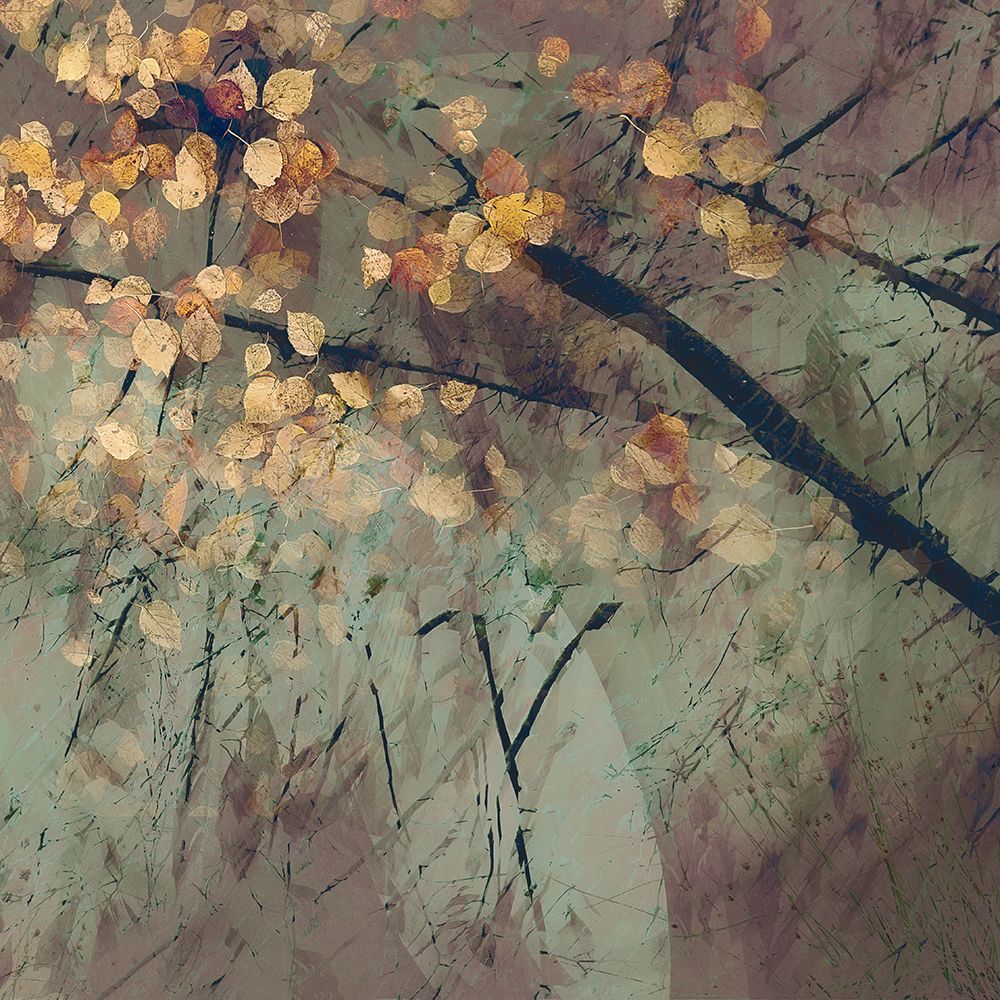Tomorrow art print by Nel Talen for $57.95 CAD