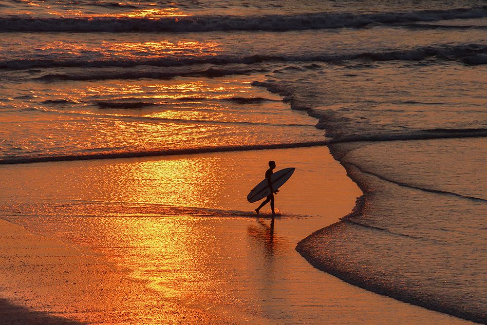 The Sunset Surfer art print by Guy Wilson for $57.95 CAD