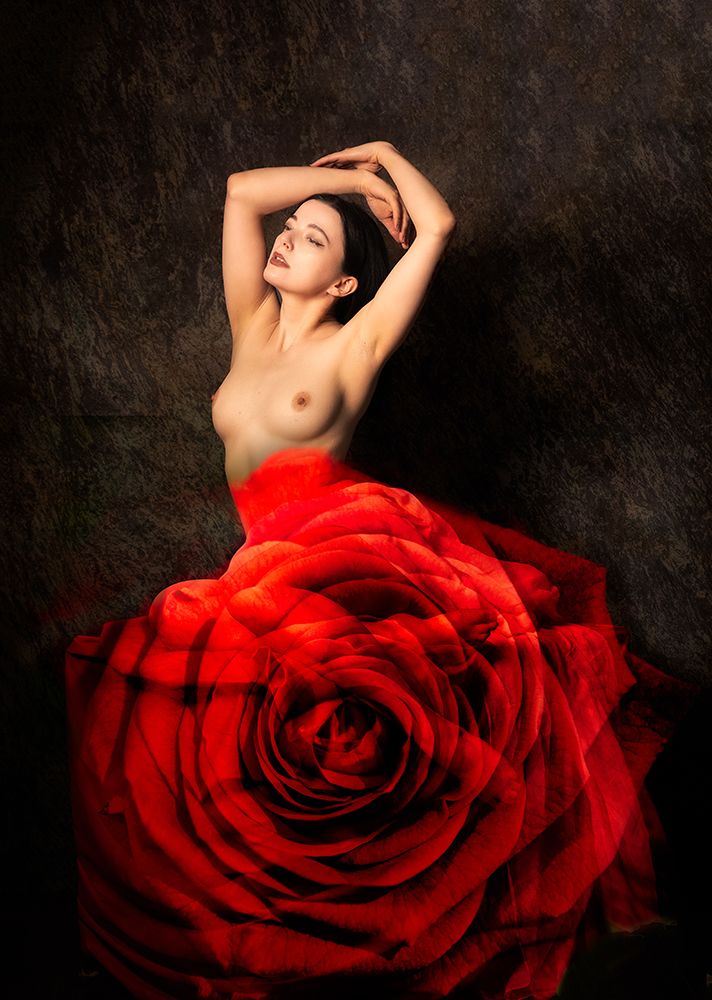 An English Rose art print by Colin Dixon for $57.95 CAD