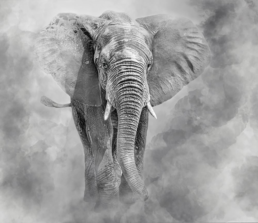 Giant art print by Ilona Rosenkrancova for $57.95 CAD