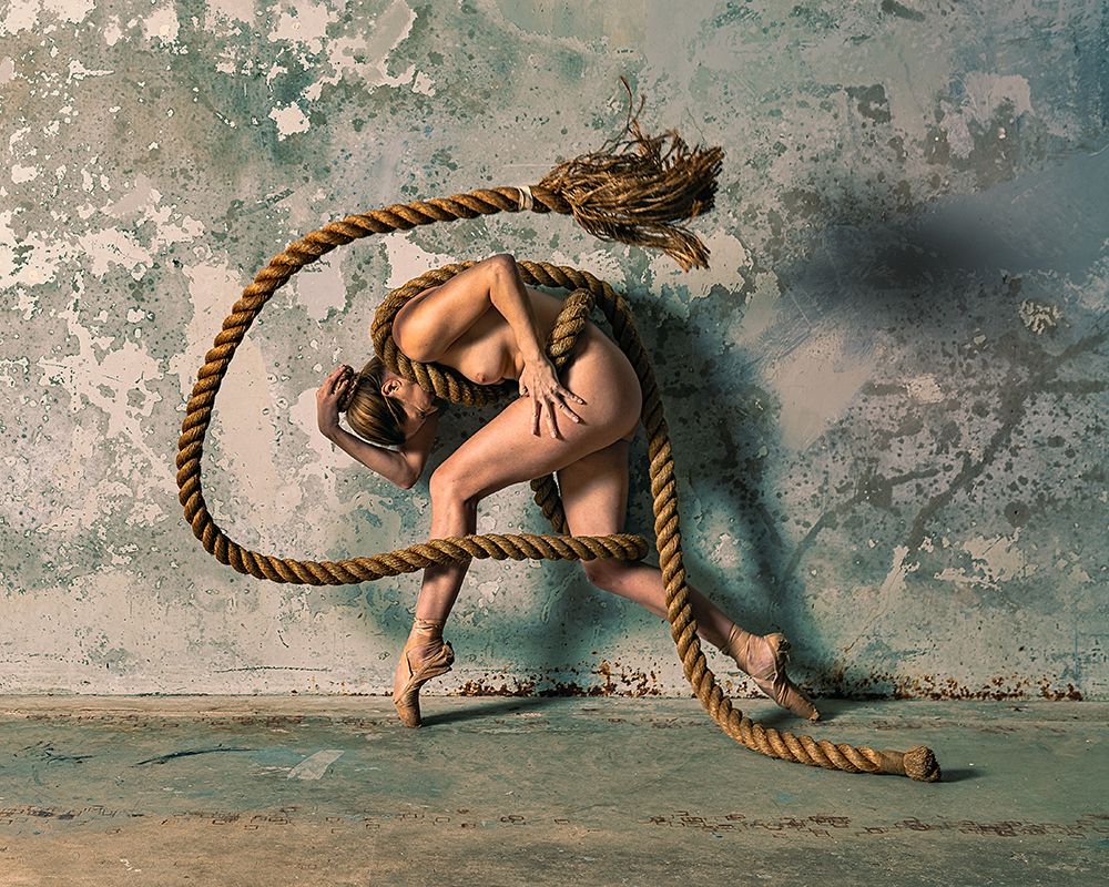 Fanny Iv, Melbourne 2019 art print by Ray Fritz for $57.95 CAD