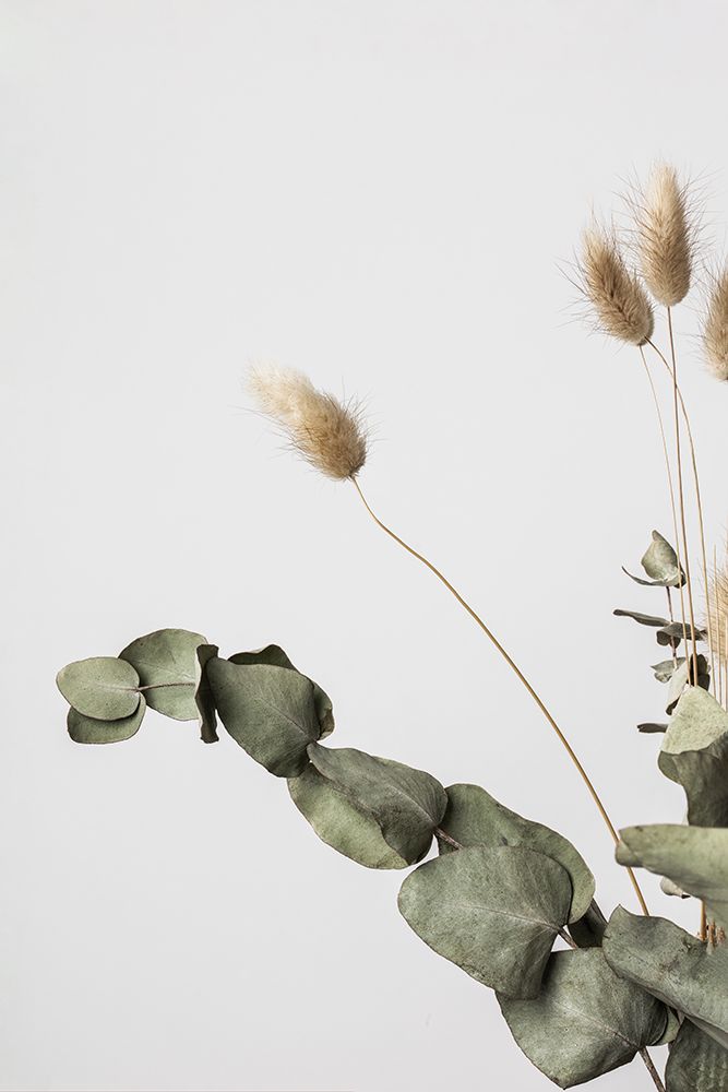 Dried_002 art print by 1x Studio III for $57.95 CAD