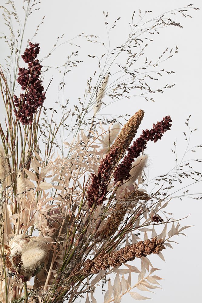 Dried_001 art print by 1x Studio III for $57.95 CAD