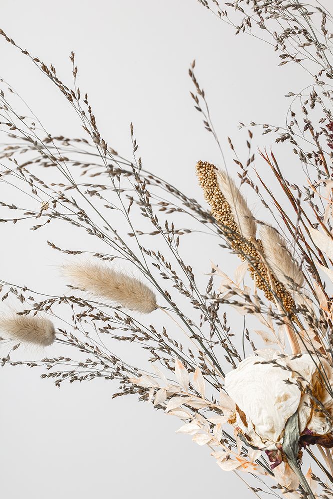 Dried_008 art print by 1x Studio III for $57.95 CAD