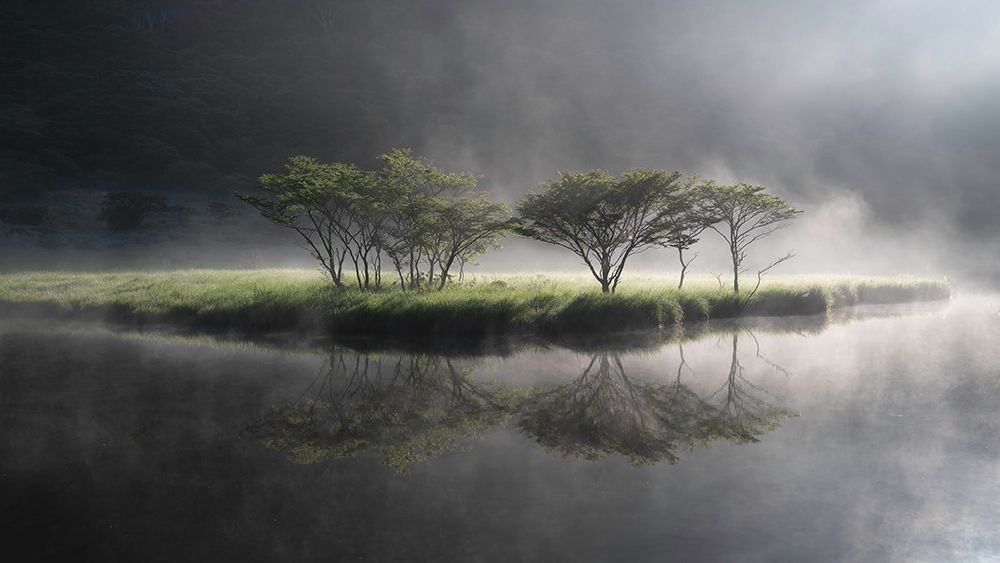 Fantasy Symbol Tree art print by Akira Nagase for $57.95 CAD