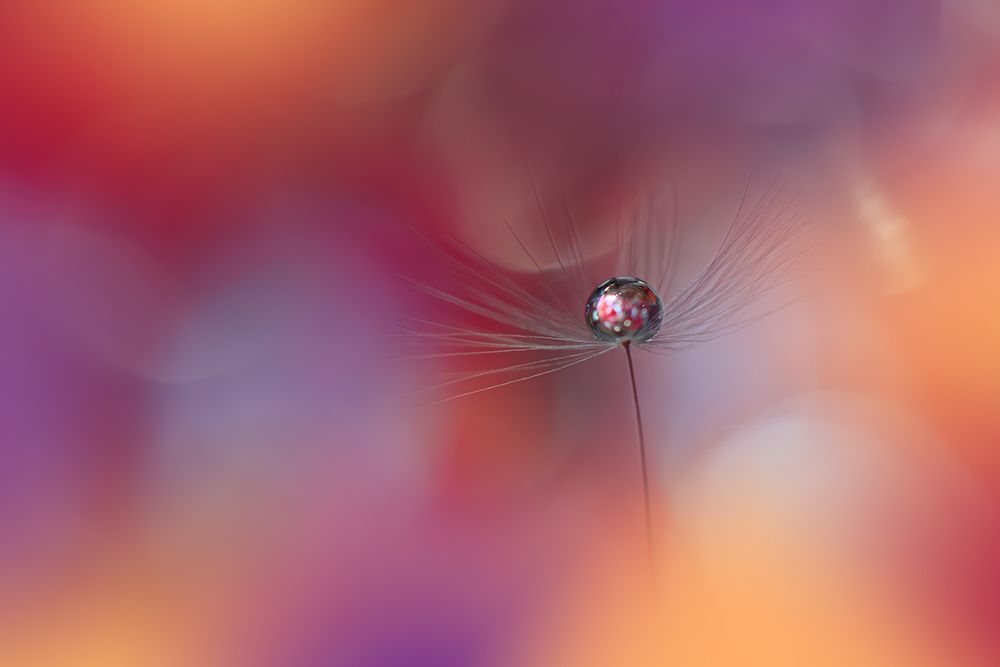Echoes Of Hope.. art print by Juliana Nan for $57.95 CAD