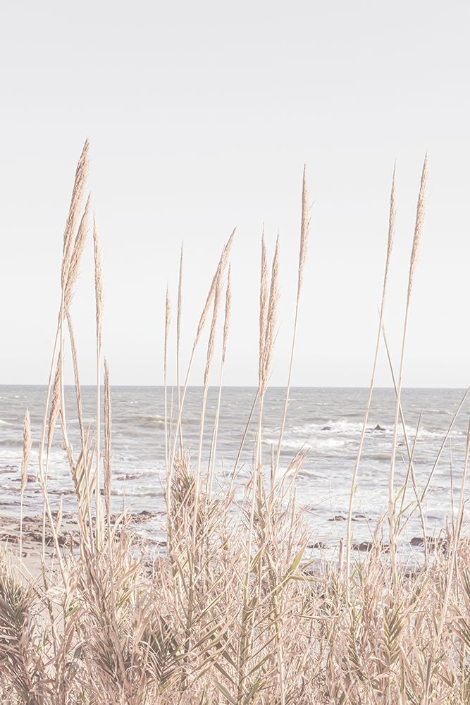 Beach_Vass_001 art print by 1x Studio III for $57.95 CAD