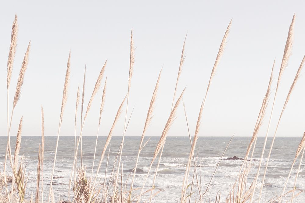 Beach_Vass_002 art print by 1x Studio III for $57.95 CAD