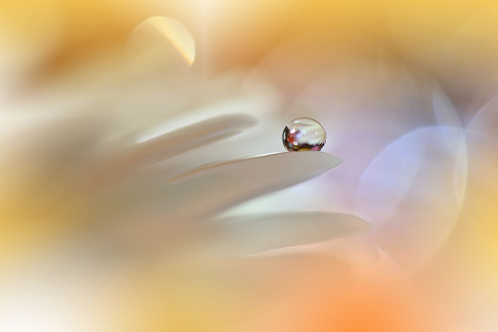 Timeless Tale.. art print by Juliana Nan for $57.95 CAD