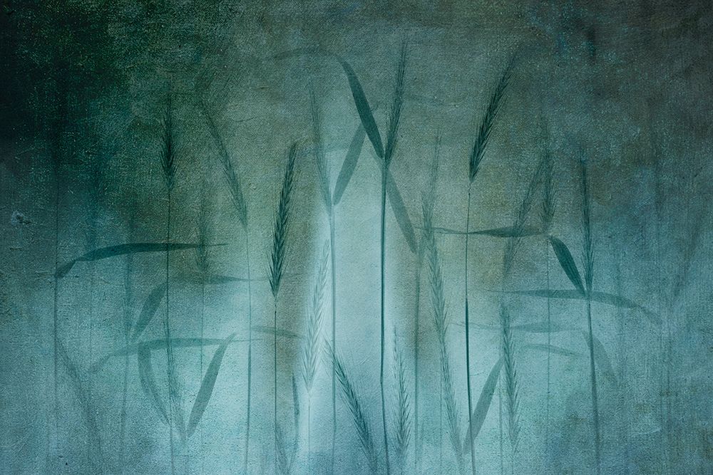 Grain In Soft Blue art print by Greetje van Son for $57.95 CAD