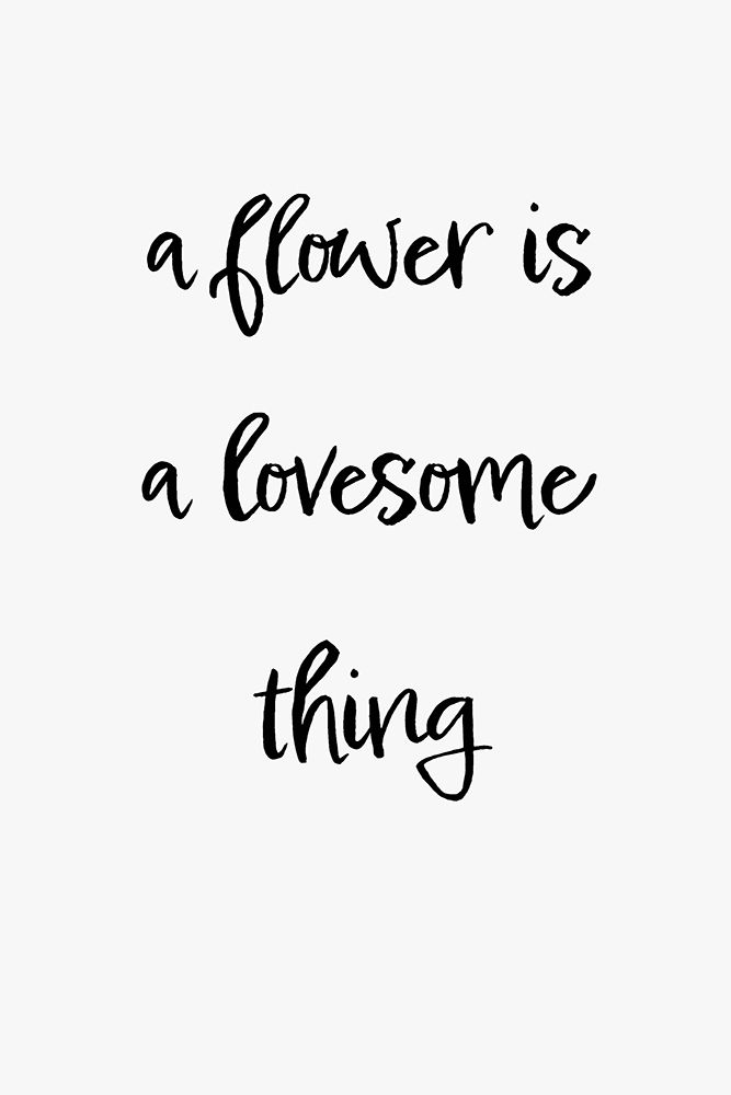 A flower is a lovesome thing art print by 1x Studio II for $57.95 CAD