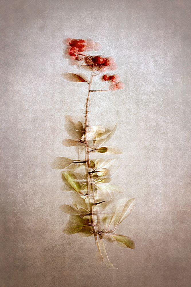 Exposed art print by Cicek Kiral for $57.95 CAD