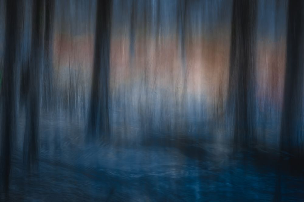 Look Deep Into Nature art print by Ina Bouhuijzen for $57.95 CAD