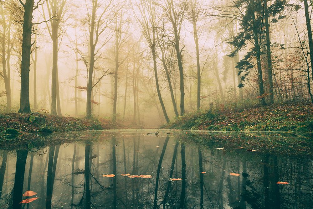 Dark water. art print by Leif Londal for $57.95 CAD