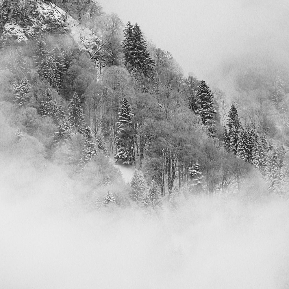 the foggy mountain art print by Renate Wasinger for $57.95 CAD