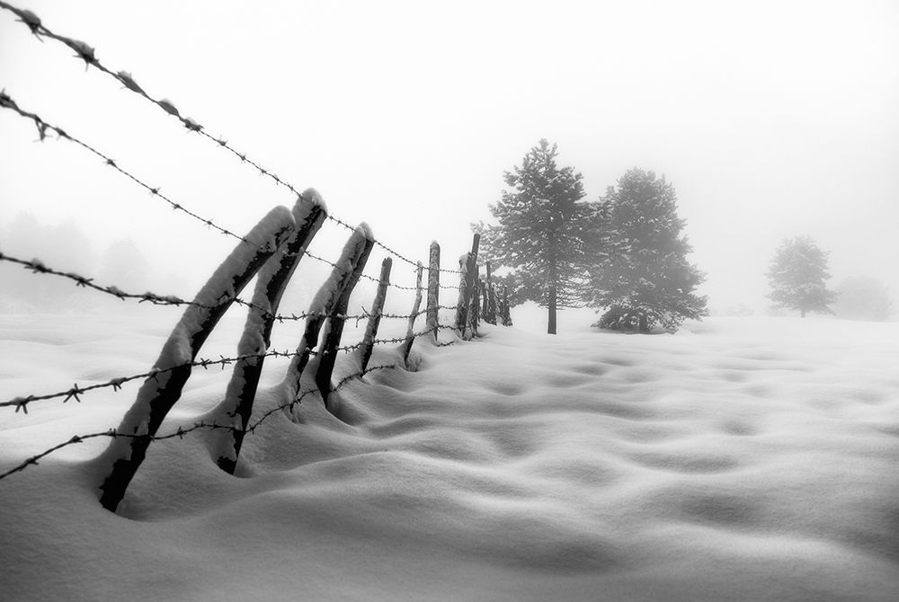 Snowpiercer art print by Alessandro Accordini for $57.95 CAD