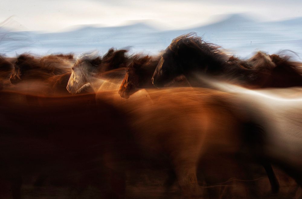 The Spirit Of Freedom art print by Timur Turkmen for $57.95 CAD