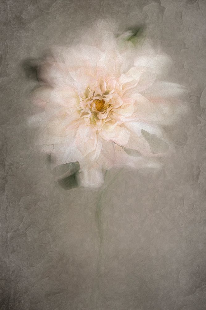 For The Bride art print by Cicek Kiral for $57.95 CAD