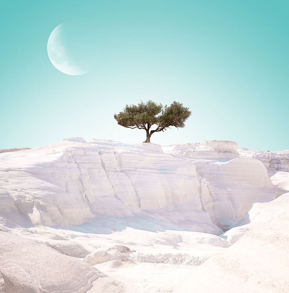 Alien Island. part 4 art print by Eva Frey for $57.95 CAD