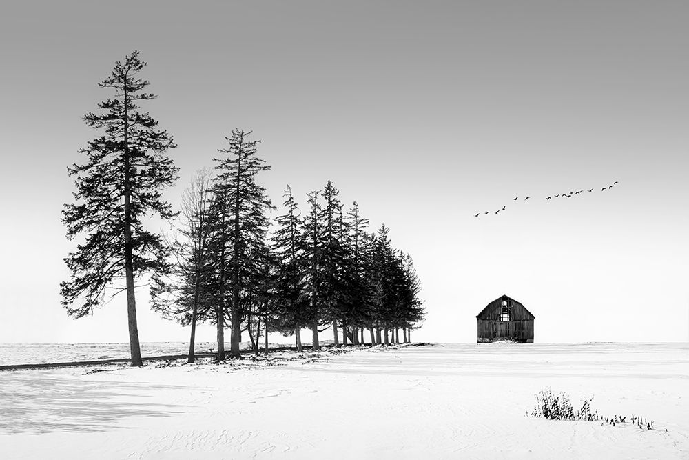 A Sunny Winter Day art print by Steven Zhou for $57.95 CAD