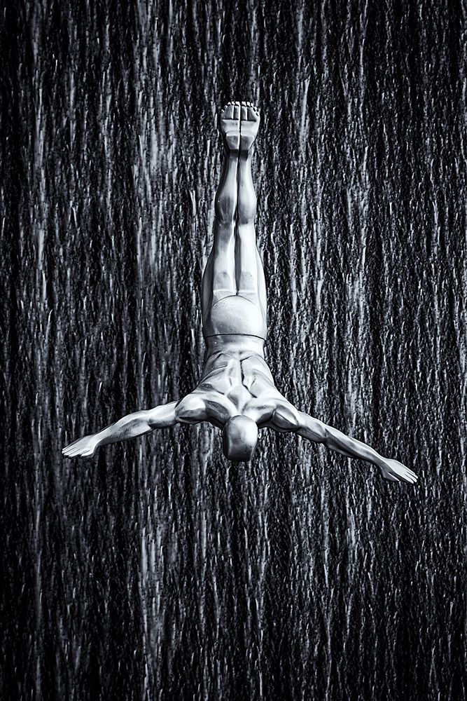fine diving art print by Martin Fleckenstein for $57.95 CAD