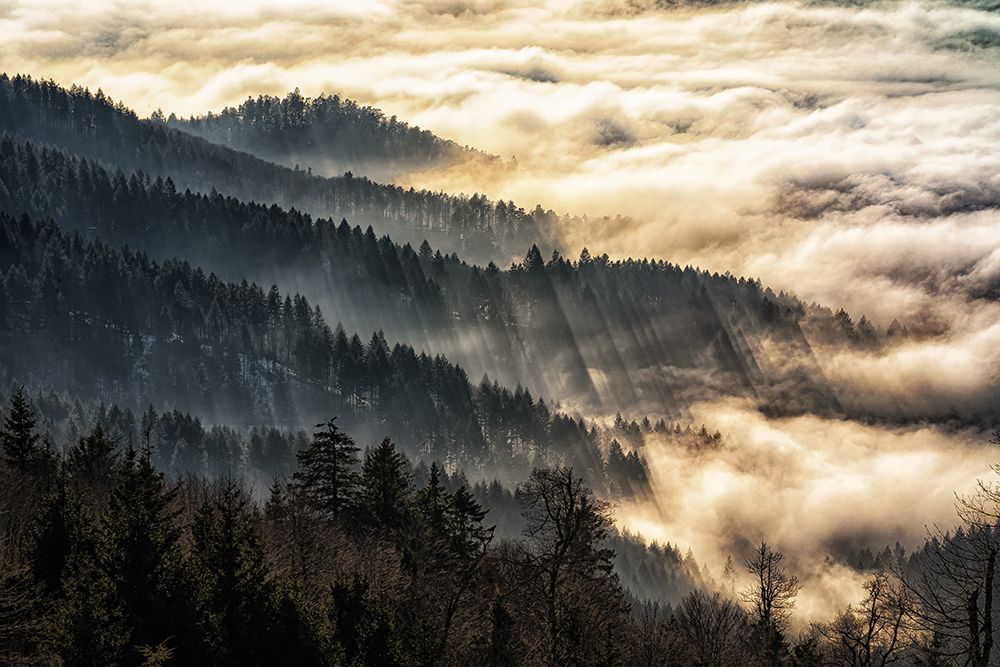 Sunset above the clouds art print by Ulrike Leinemann for $57.95 CAD
