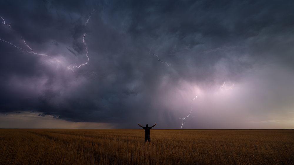 Zeus art print by Miles Morgan for $57.95 CAD