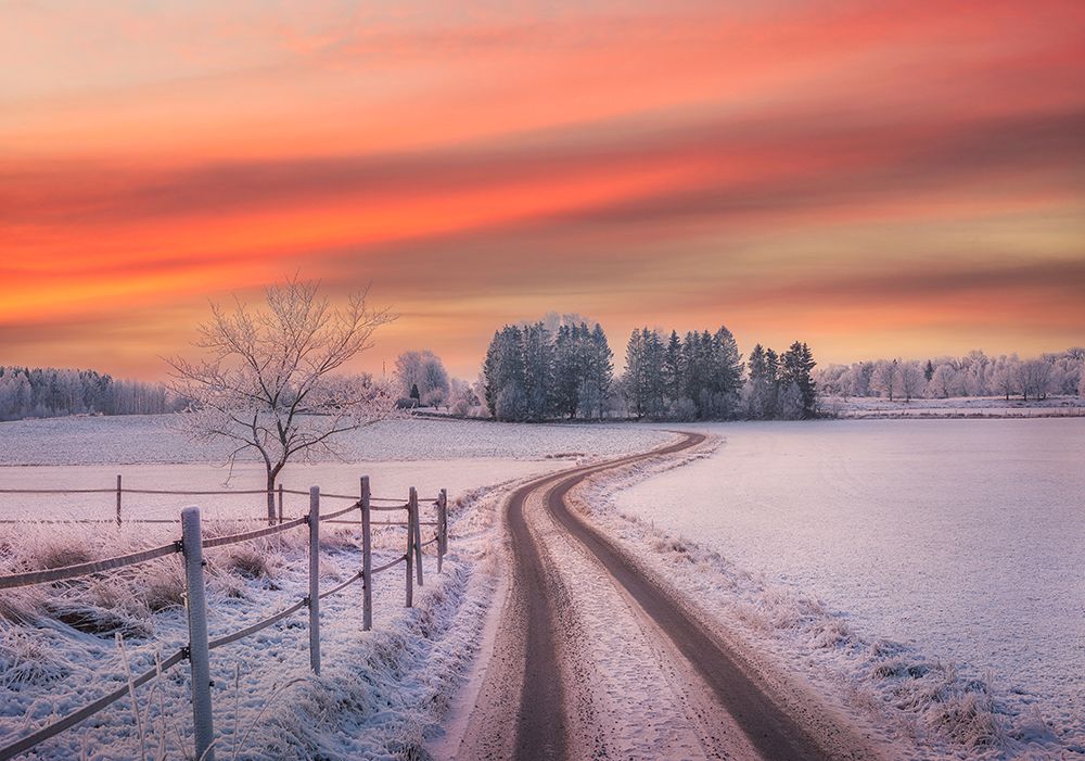 Rural Winter Scene art print by Christian Lindsten for $57.95 CAD