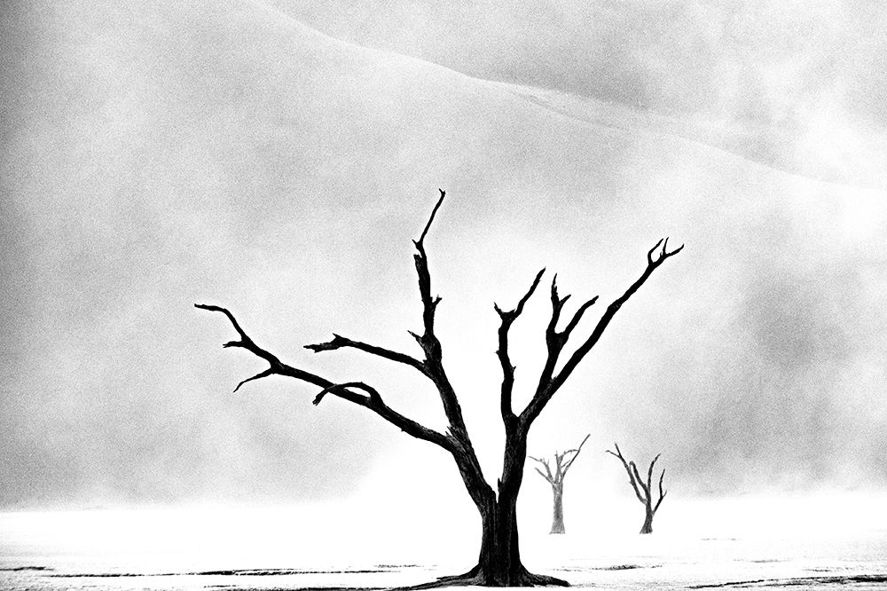 Namibia: The Spirit of Wilderness art print by Gina Buliga for $57.95 CAD