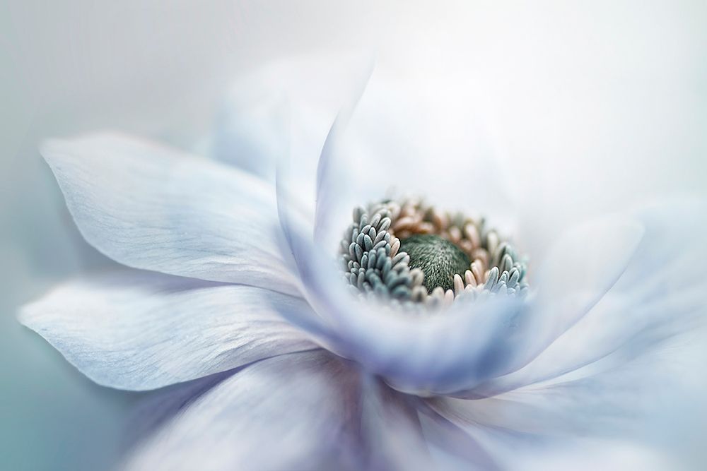 Chill art print by Jacky Parker for $57.95 CAD