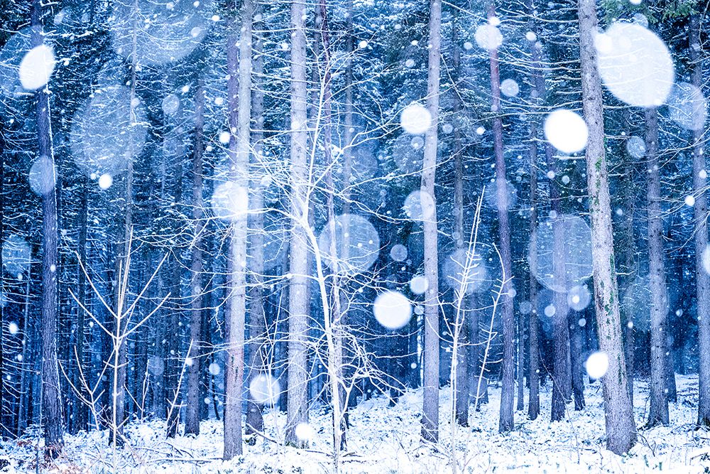 Snowscape art print by Ulrike Eisenmann for $57.95 CAD