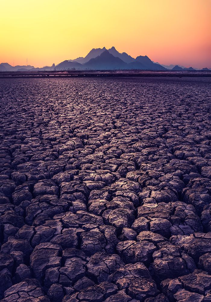 Thirst art print by Tiger Seo for $57.95 CAD