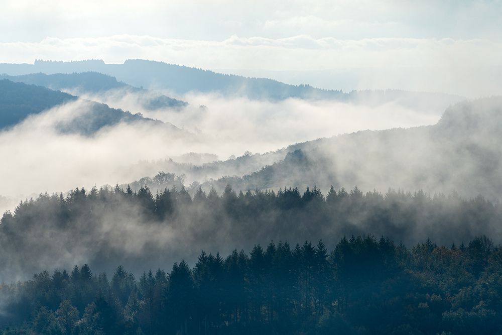Early morning at Morvan art print by Marleen Wijnen for $57.95 CAD