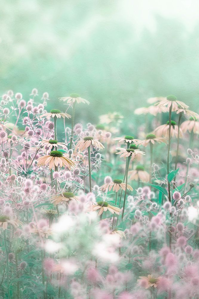 Melody art print by Jacky Parker for $57.95 CAD