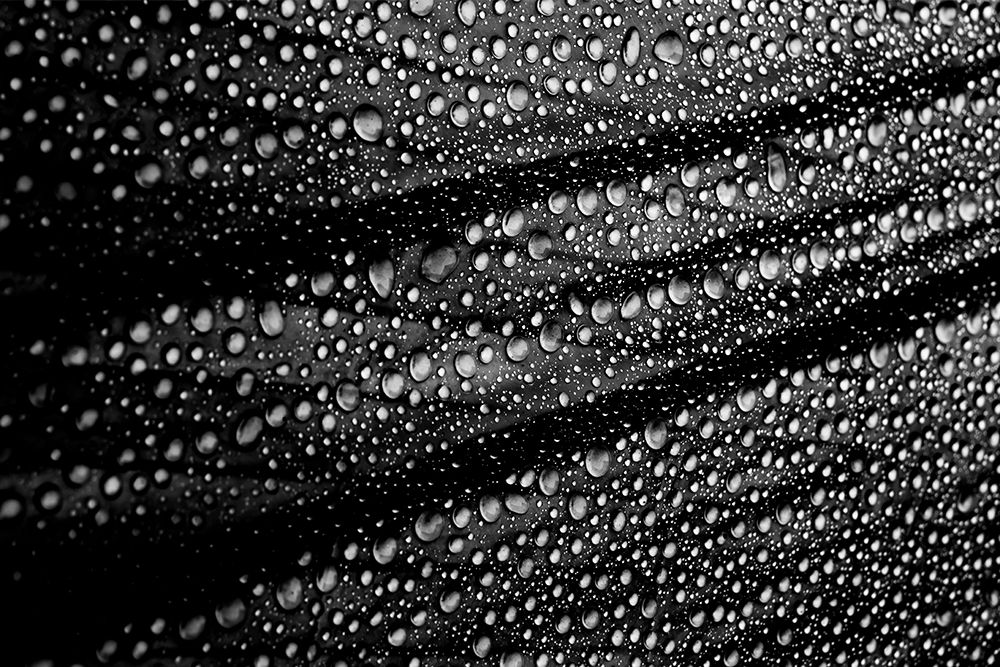Cultured Rain Pearls art print by Simon Ciappara Lrps. for $57.95 CAD