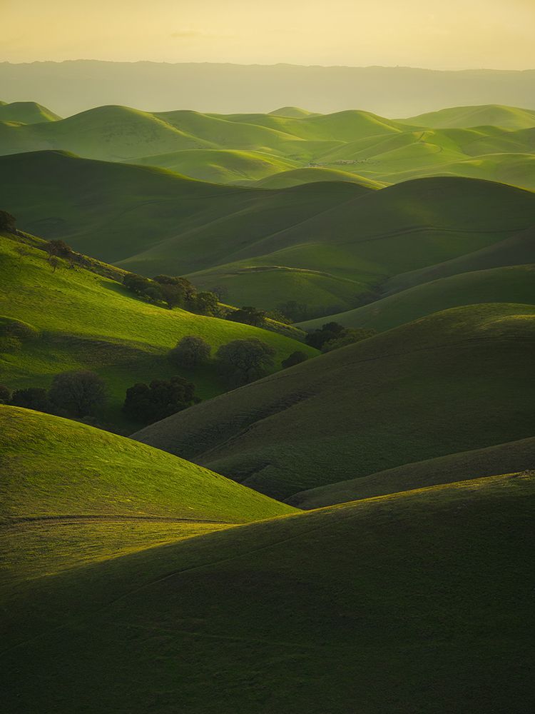 Rolling Hills art print by Chengming for $57.95 CAD