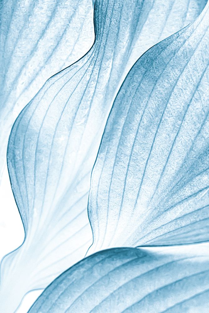 Icy Waves art print by Beth Buelow for $57.95 CAD