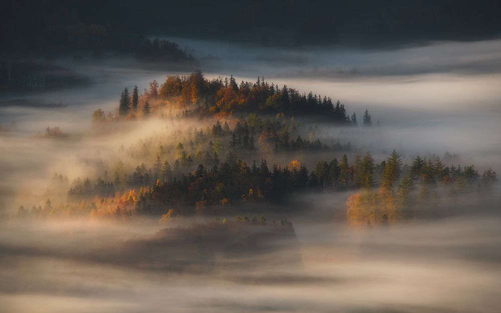 Autumn art print by Tomasz Rojek for $57.95 CAD