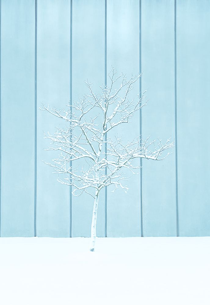 A lonely Snow Tree art print by Yanny Liu for $57.95 CAD