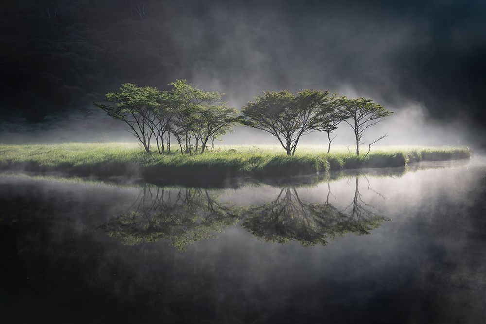 illuminate art print by Akira Nagase for $57.95 CAD