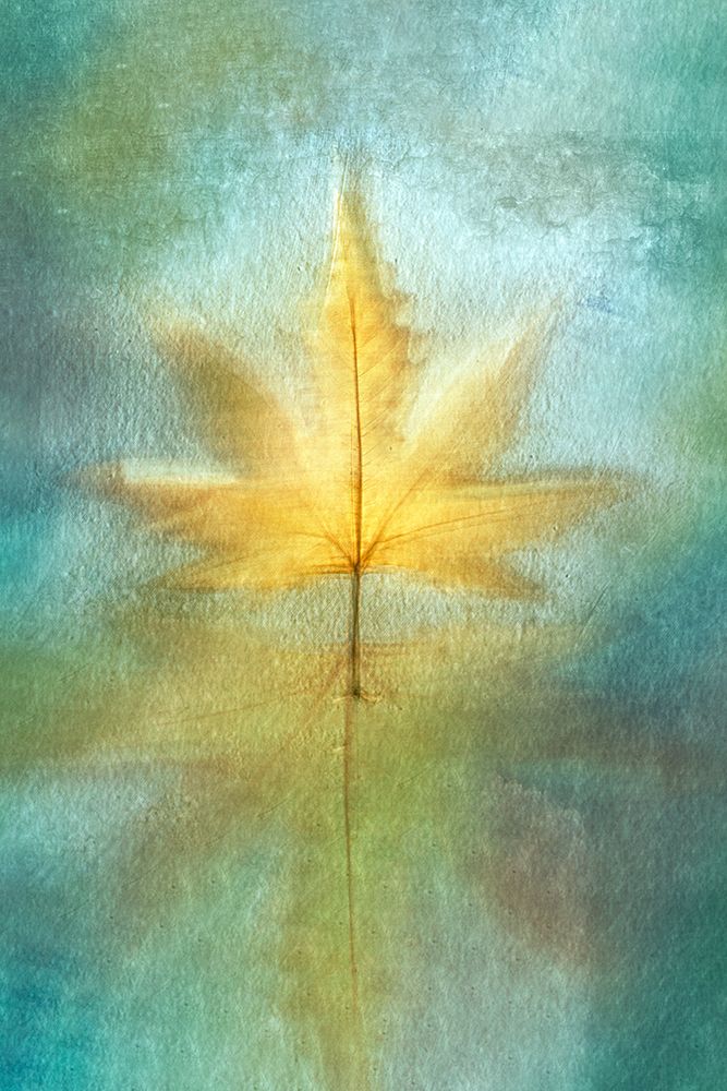 Reflections art print by Cicek Kiral for $57.95 CAD