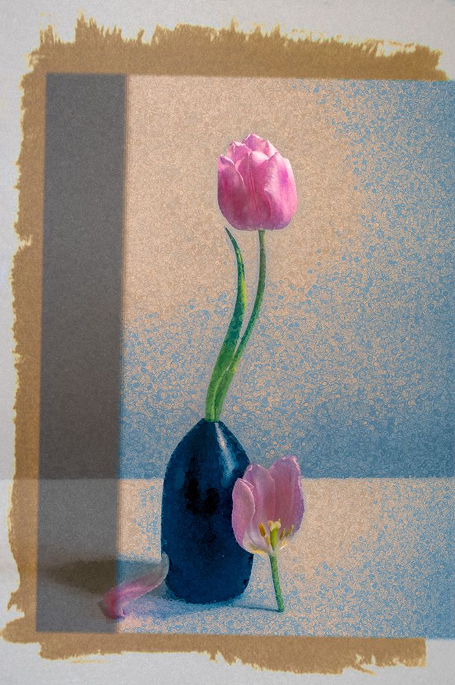 A Study in Contrast art print by Birdie Ni for $57.95 CAD