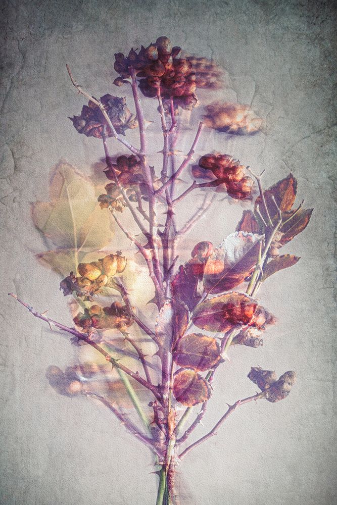 Before Winter art print by Cicek Kiral for $57.95 CAD