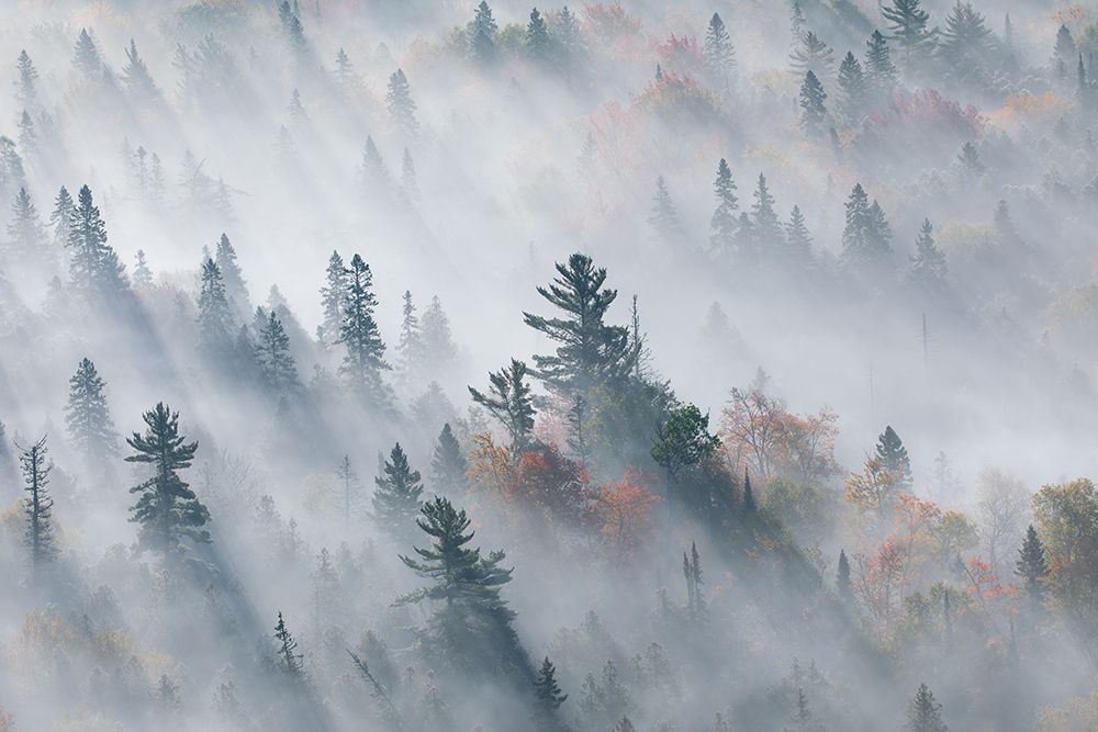 The Fog of Silence, The Fog of Illusion art print by Jennifer Zhao for $57.95 CAD