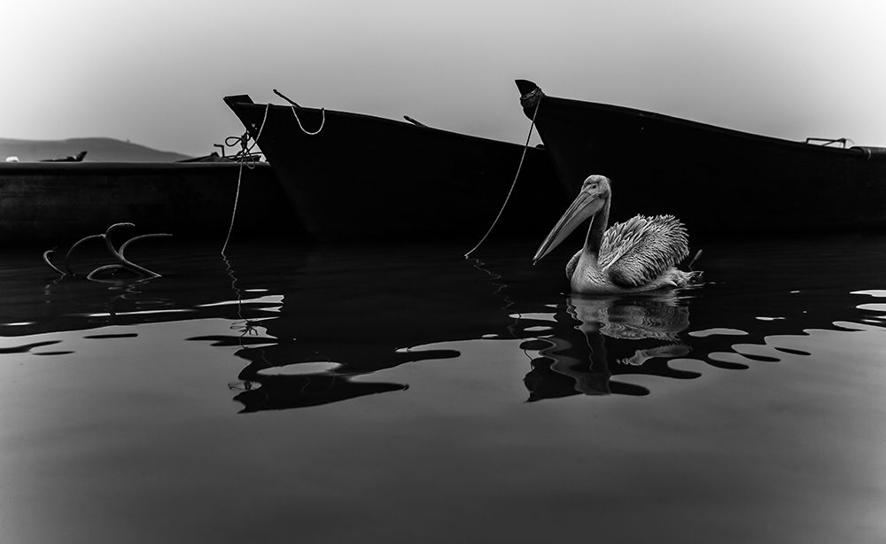 lake diary 2 art print by Ummu Nisan Kandilcioglu for $57.95 CAD