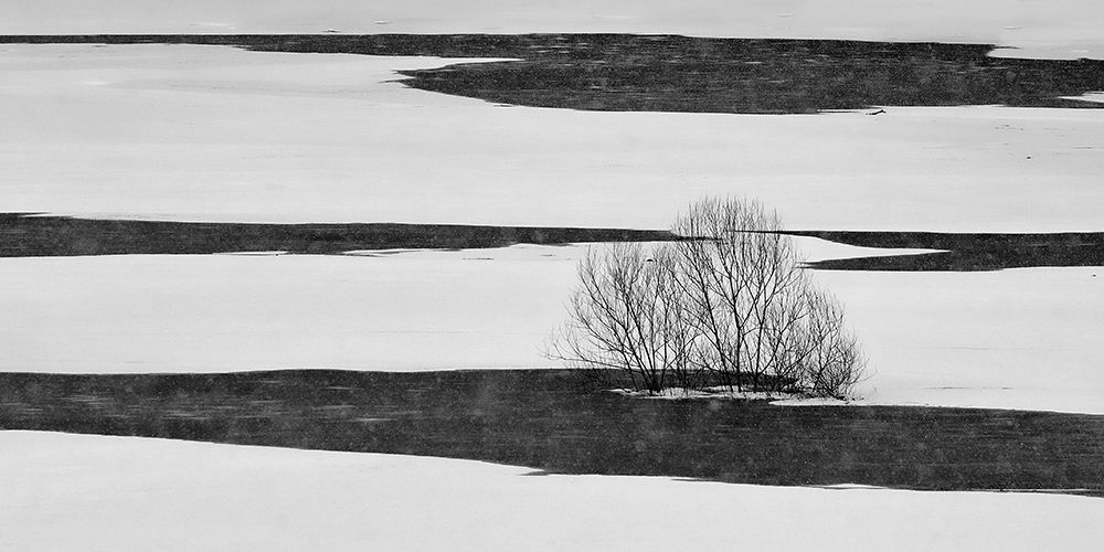Black on white art print by Jure Kravanja for $57.95 CAD